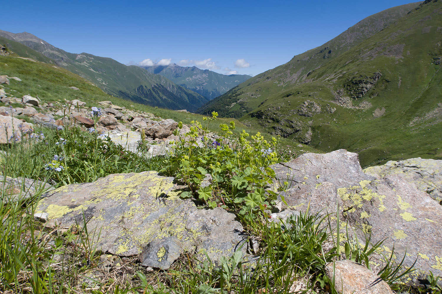 Верхняя стоянка Имеретин. тропы, image of landscape/habitat.