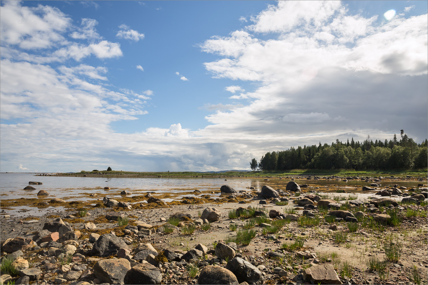 Кандалакша и окрестности, image of landscape/habitat.