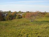 Image of landscape