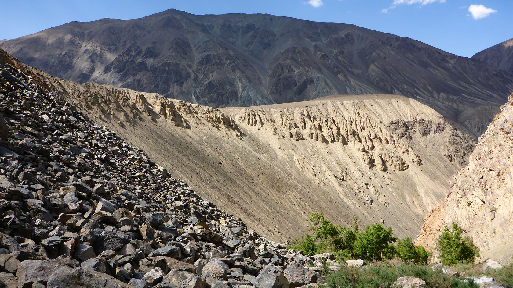 Берёзовая, image of landscape/habitat.
