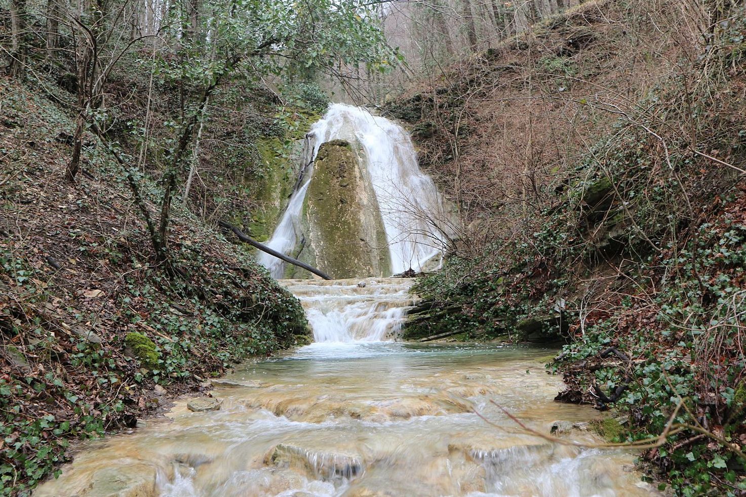 Прохаскина балка, image of landscape/habitat.
