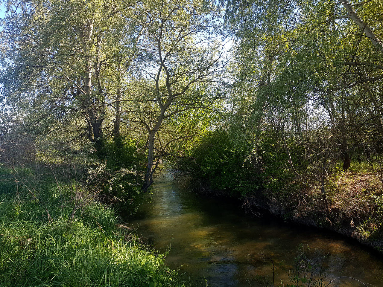 Природный парк «Белая скала», image of landscape/habitat.