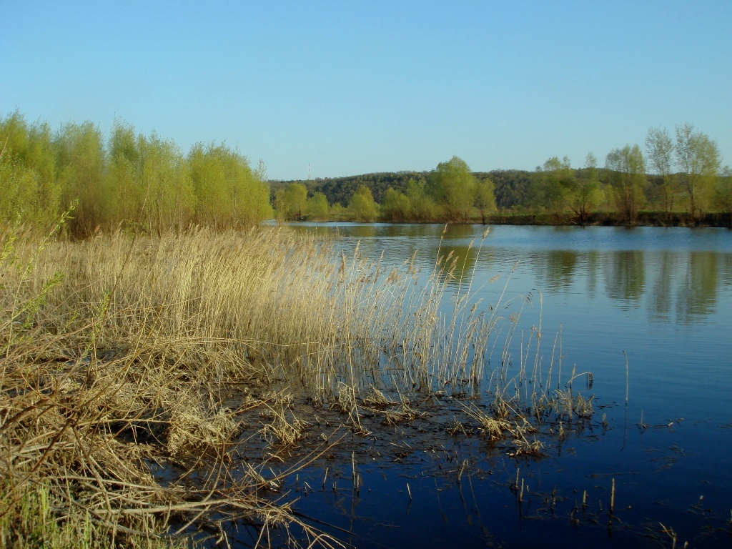 Солдыбаево, image of landscape/habitat.