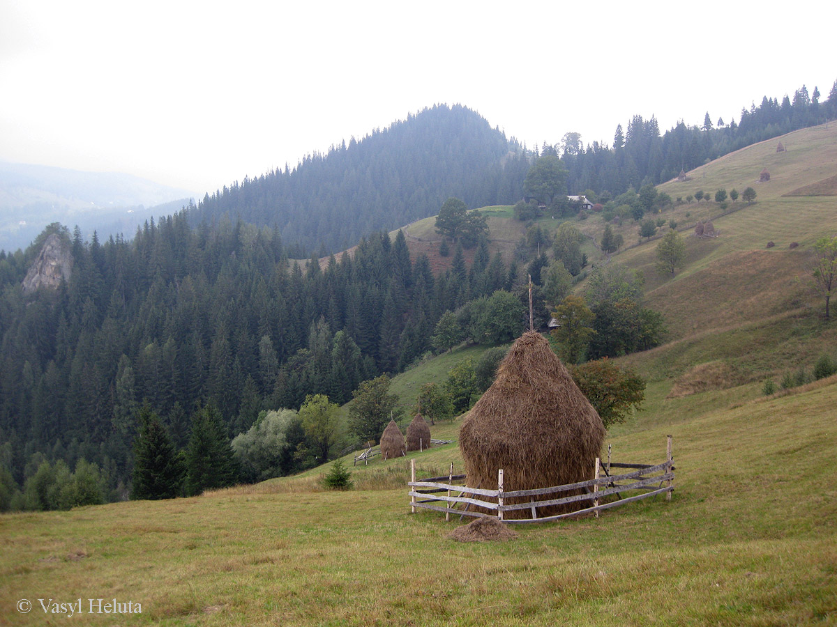 Терношора, изображение ландшафта.