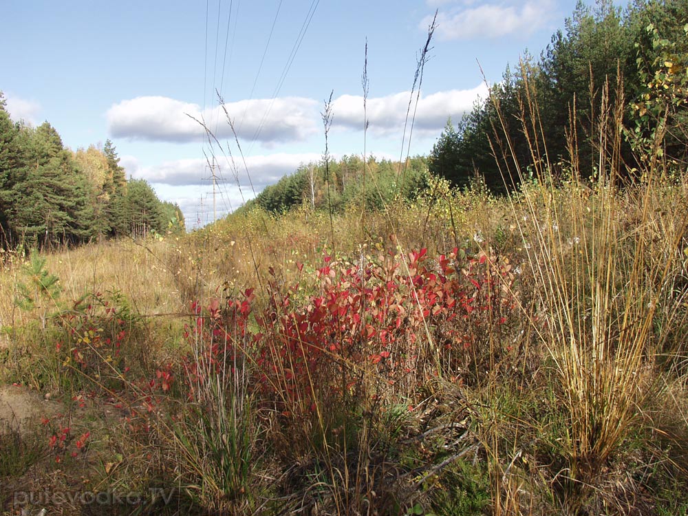 Ларцево, image of landscape/habitat.