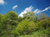 Image of landscape