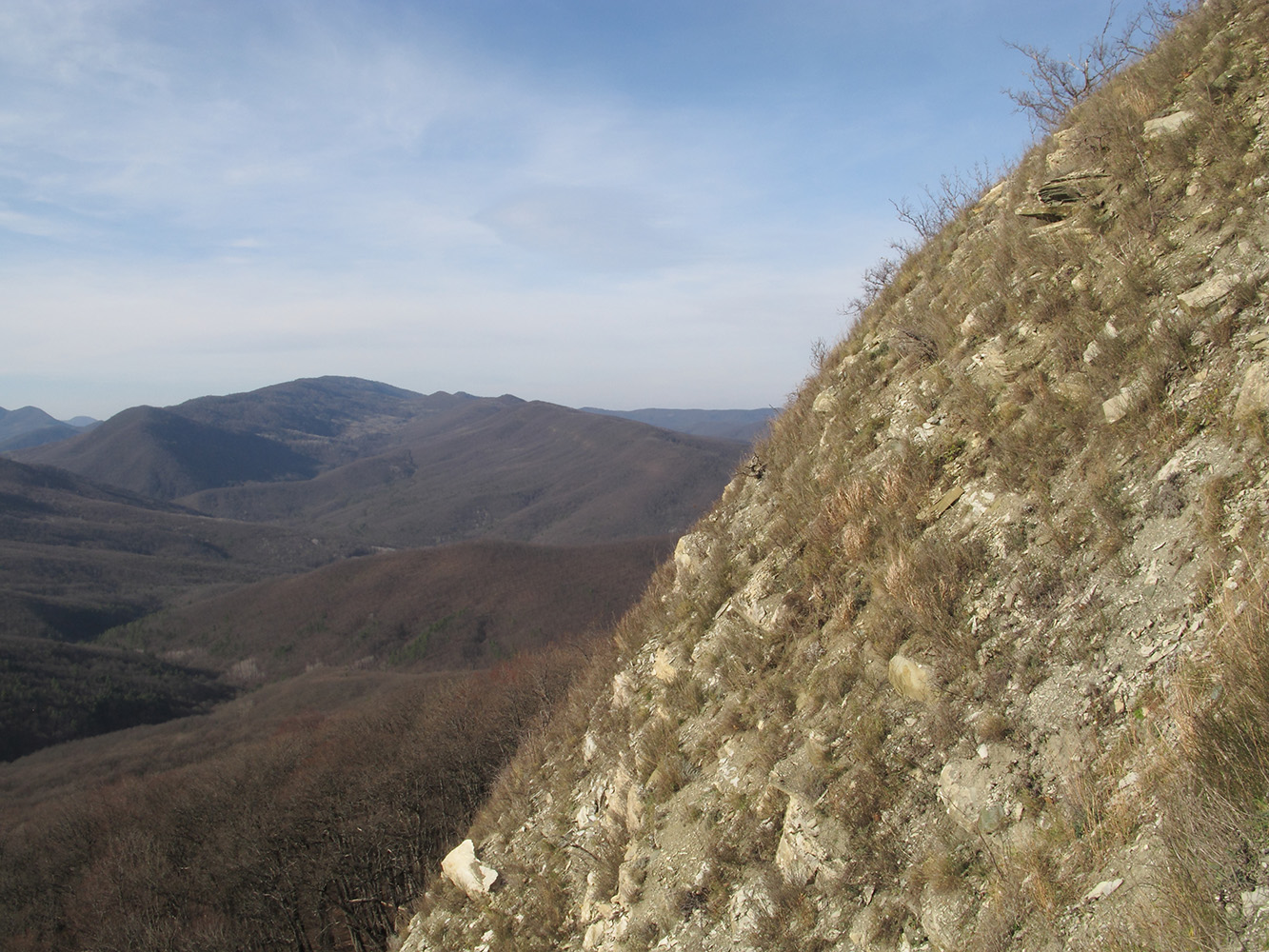 Собер-Баш, image of landscape/habitat.