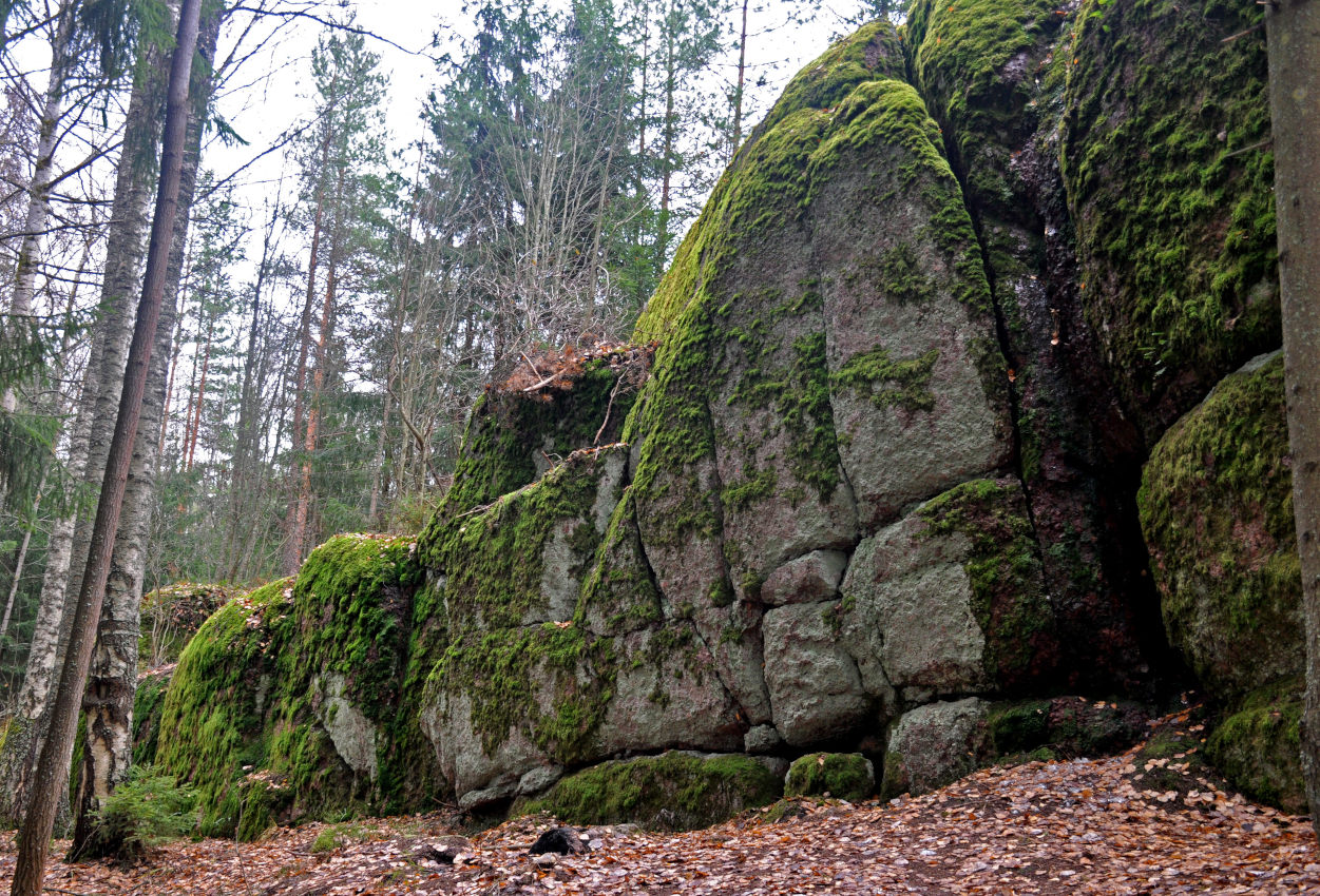 Парк Монрепо, image of landscape/habitat.