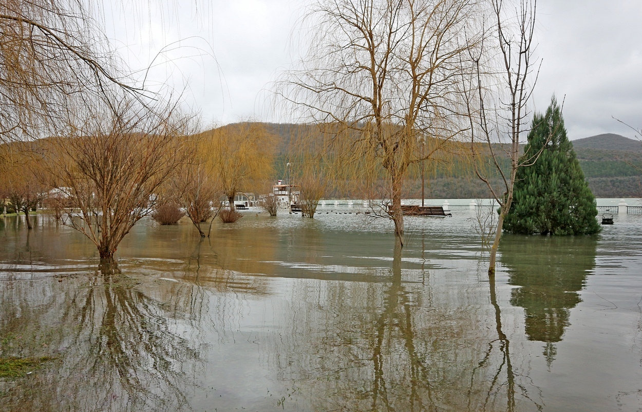Абрау-Дюрсо, image of landscape/habitat.