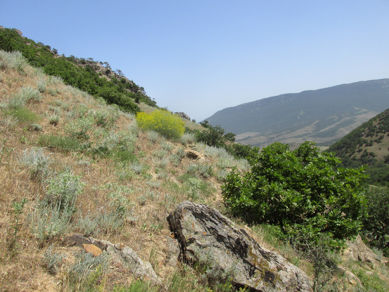 Хребет Нарат-Тюбе, image of landscape/habitat.