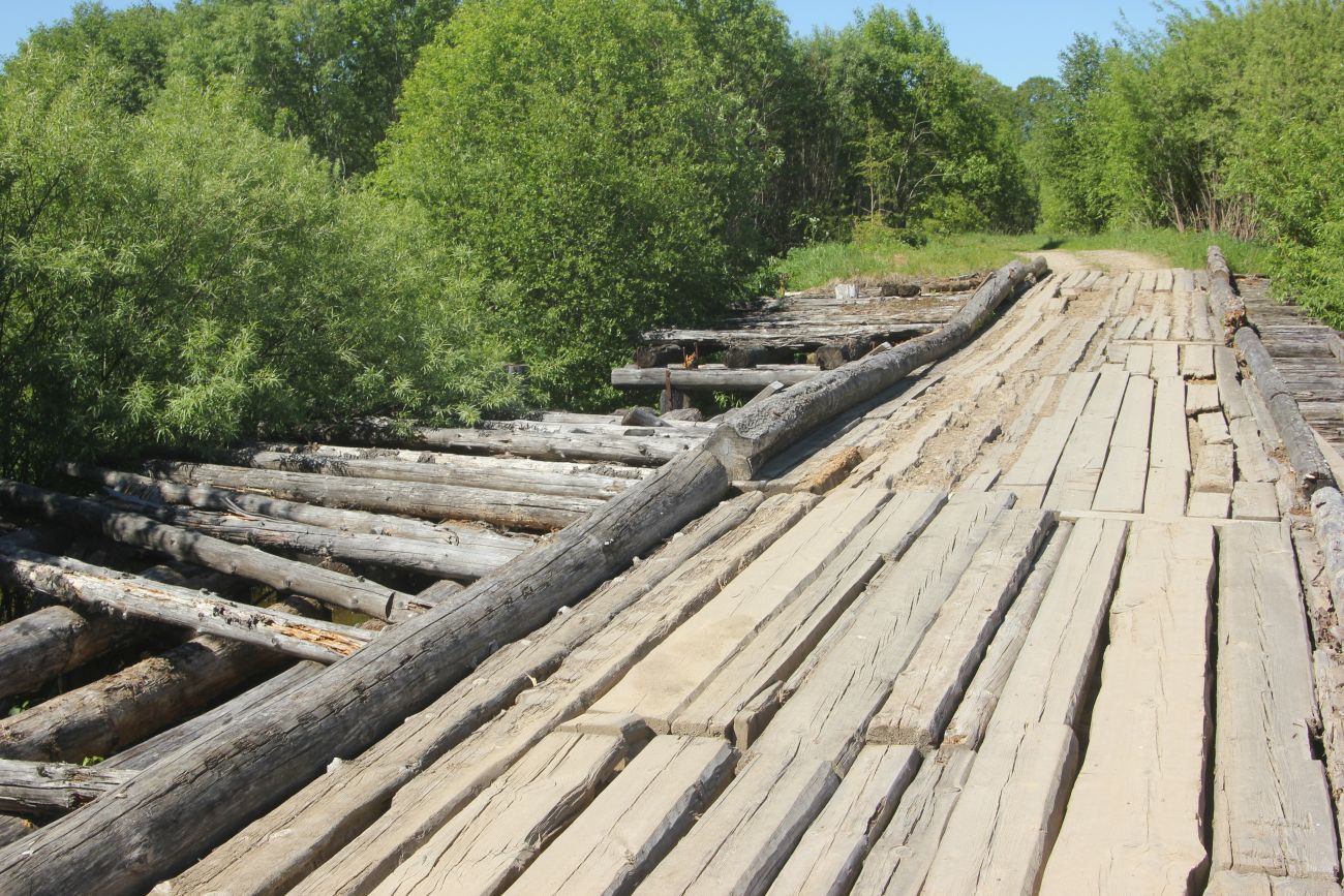 Река Ножега, image of landscape/habitat.