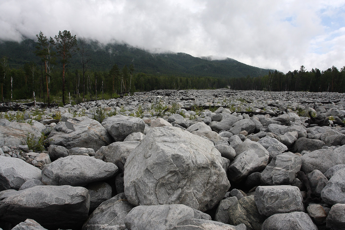 Аршан, image of landscape/habitat.