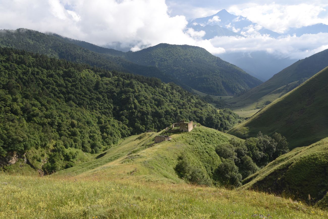 Урочище Кязи и окрестности, image of landscape/habitat.