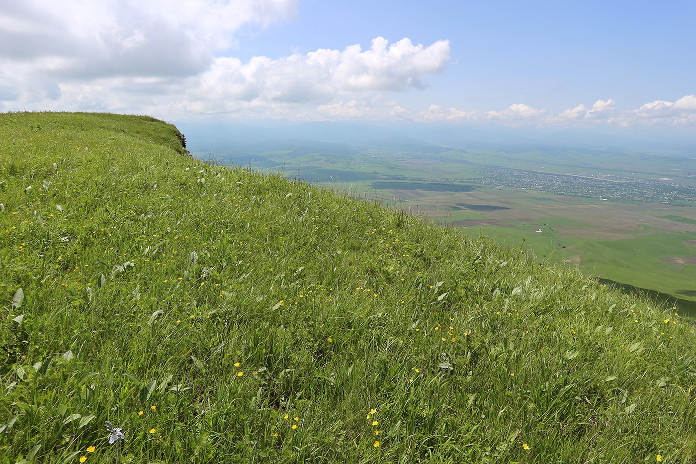 Джангур, image of landscape/habitat.