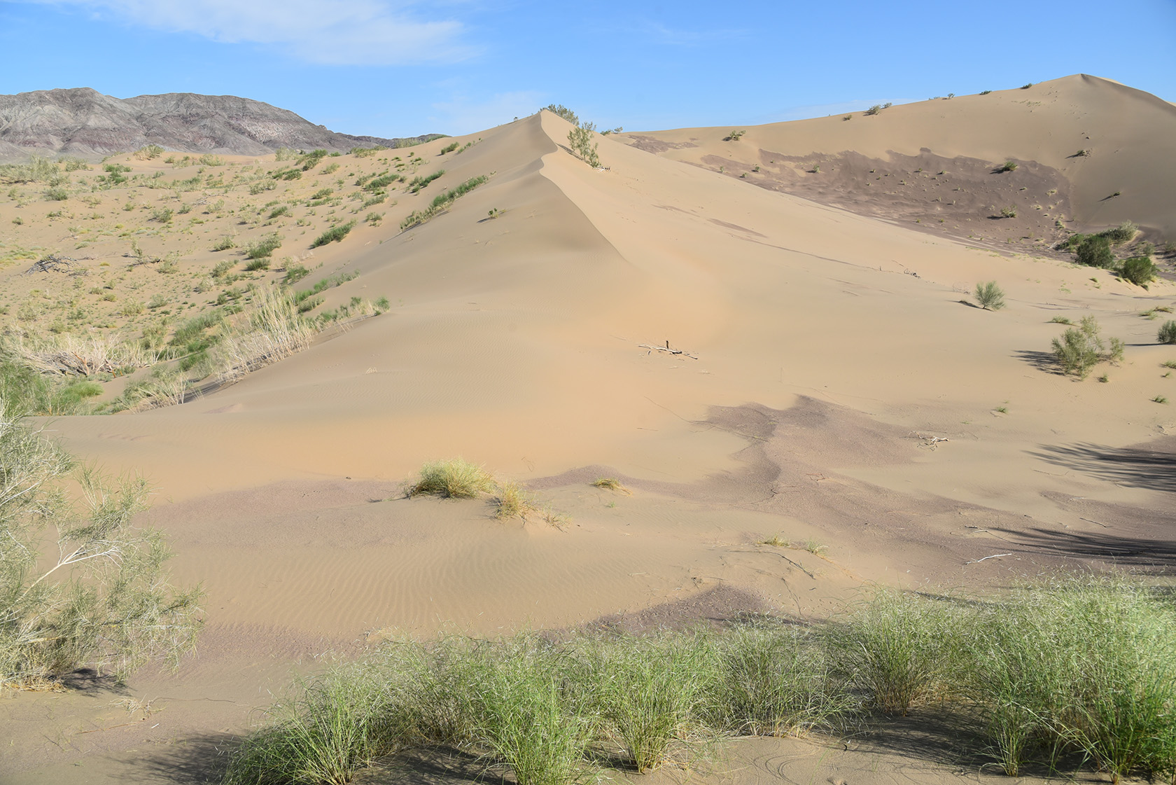 Айгайкум (Поющий бархан), изображение ландшафта.