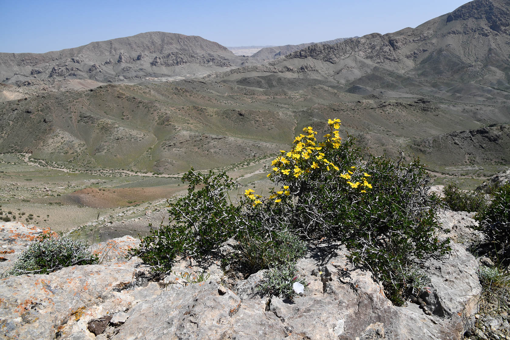 Кон-и-Гут, image of landscape/habitat.