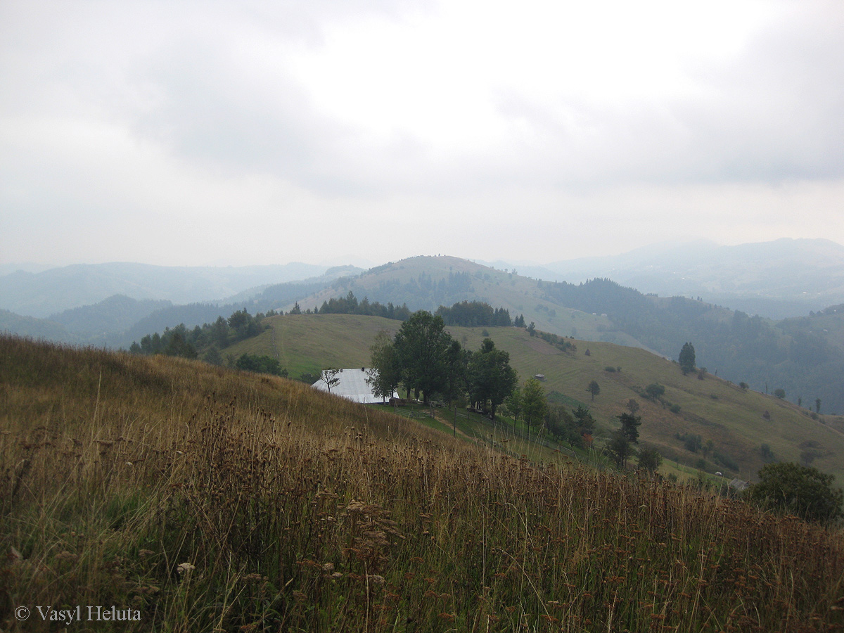 Терношора, image of landscape/habitat.