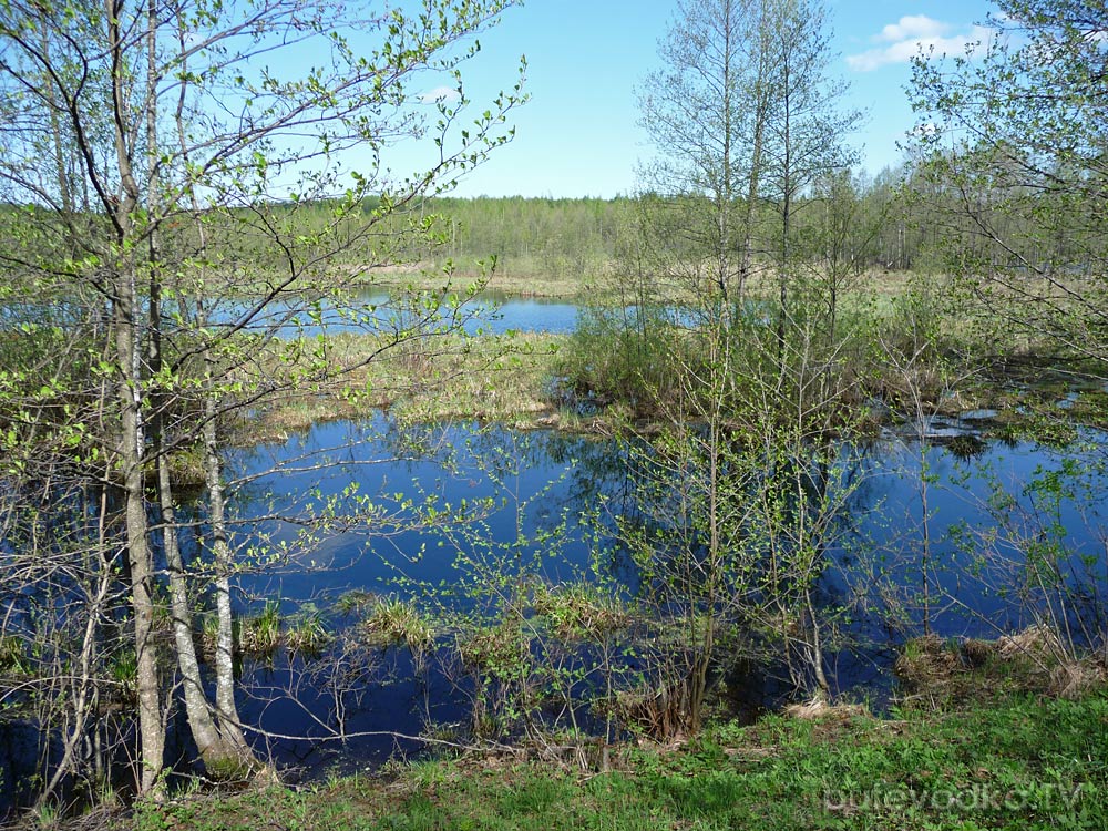 Ларцево, изображение ландшафта.