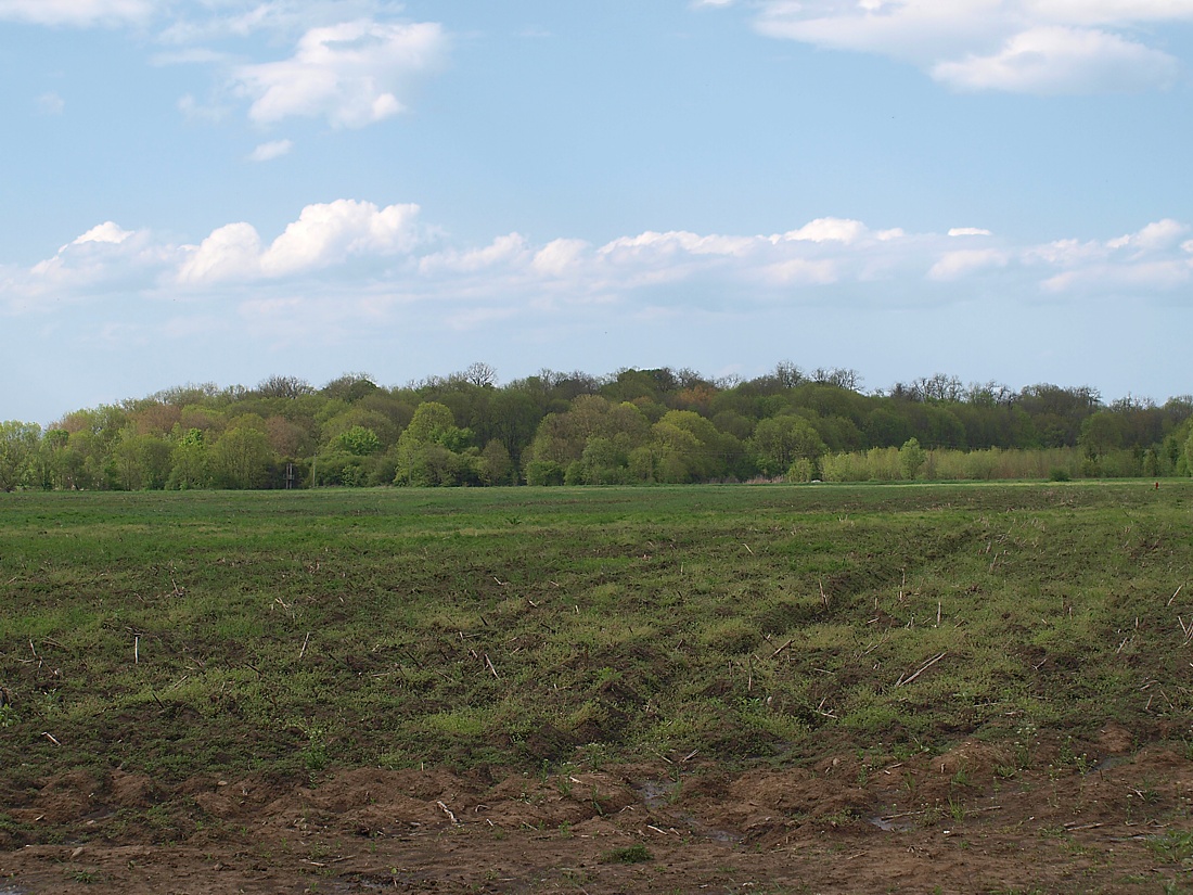 Юг Осетинской равнины, image of landscape/habitat.