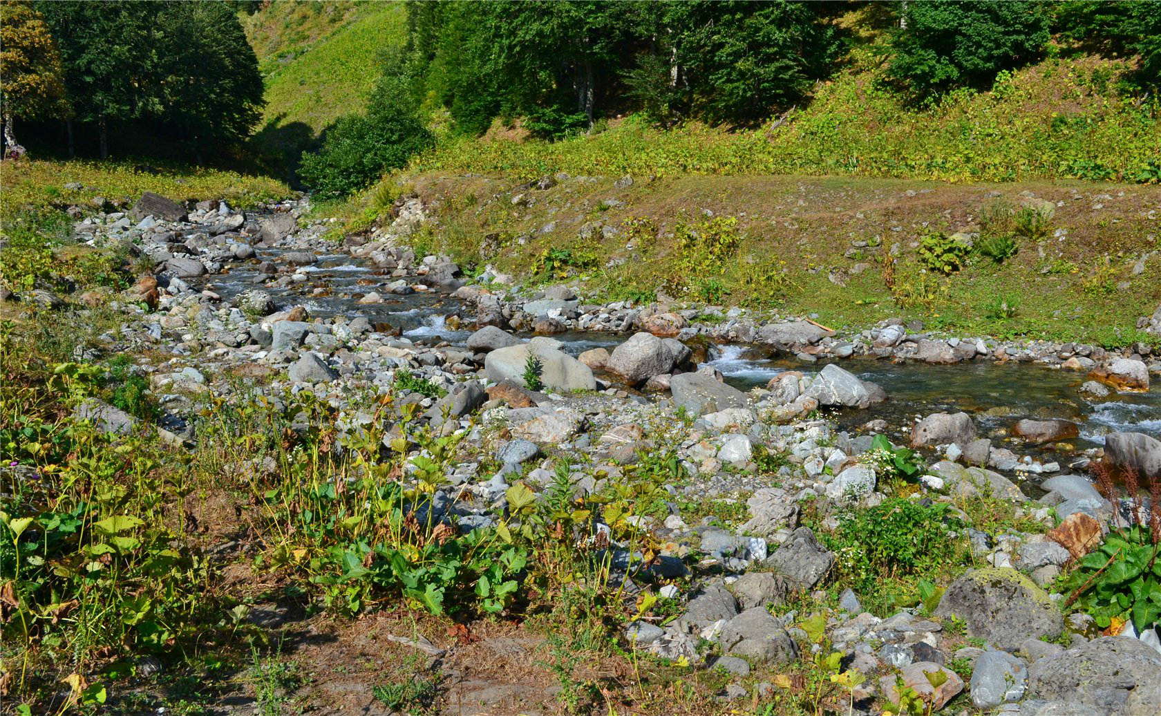 Авадхара (Ауадхара), image of landscape/habitat.