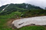 Перевал Белореченский, image of landscape/habitat.