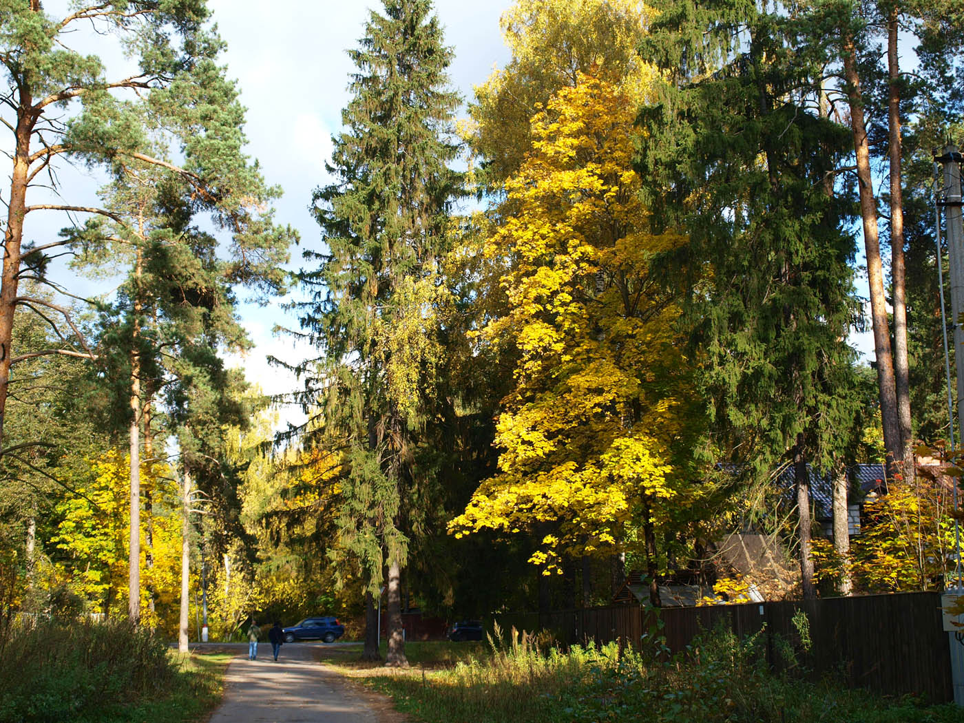 Поселок Ильинский и окрестности, image of landscape/habitat.