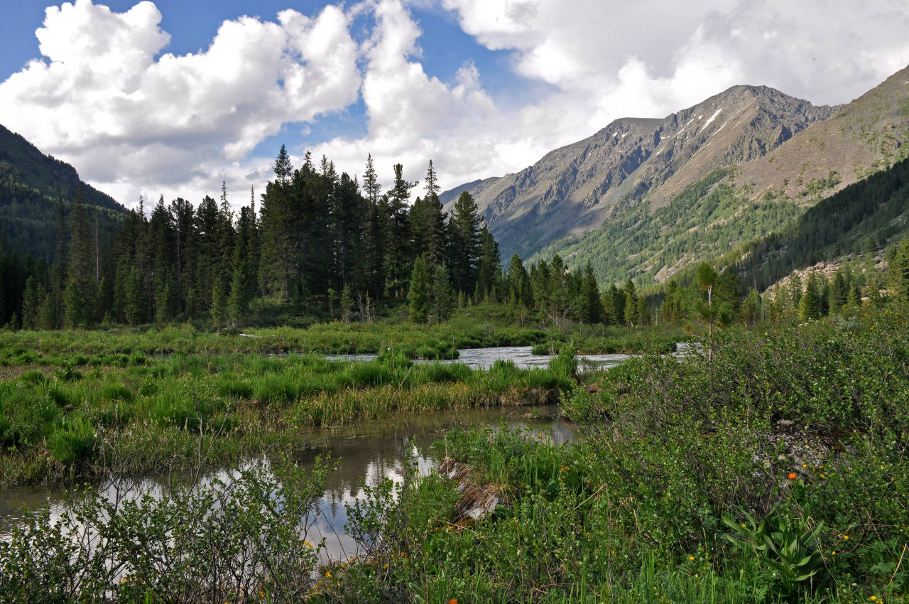 Верхнее Мультинское озеро, image of landscape/habitat.