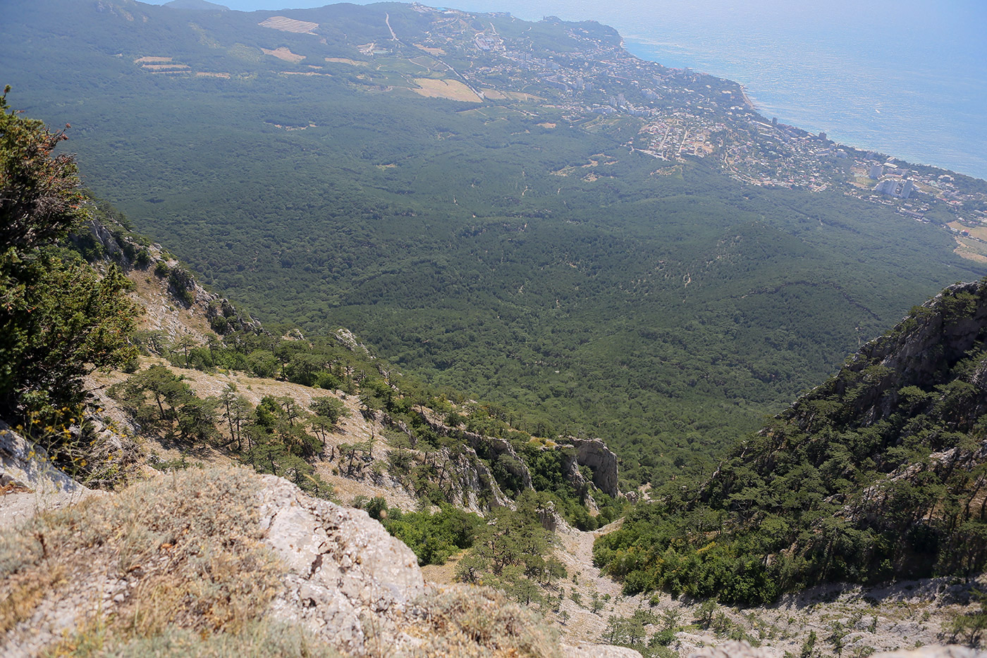 Ай-Петринская яйла, image of landscape/habitat.