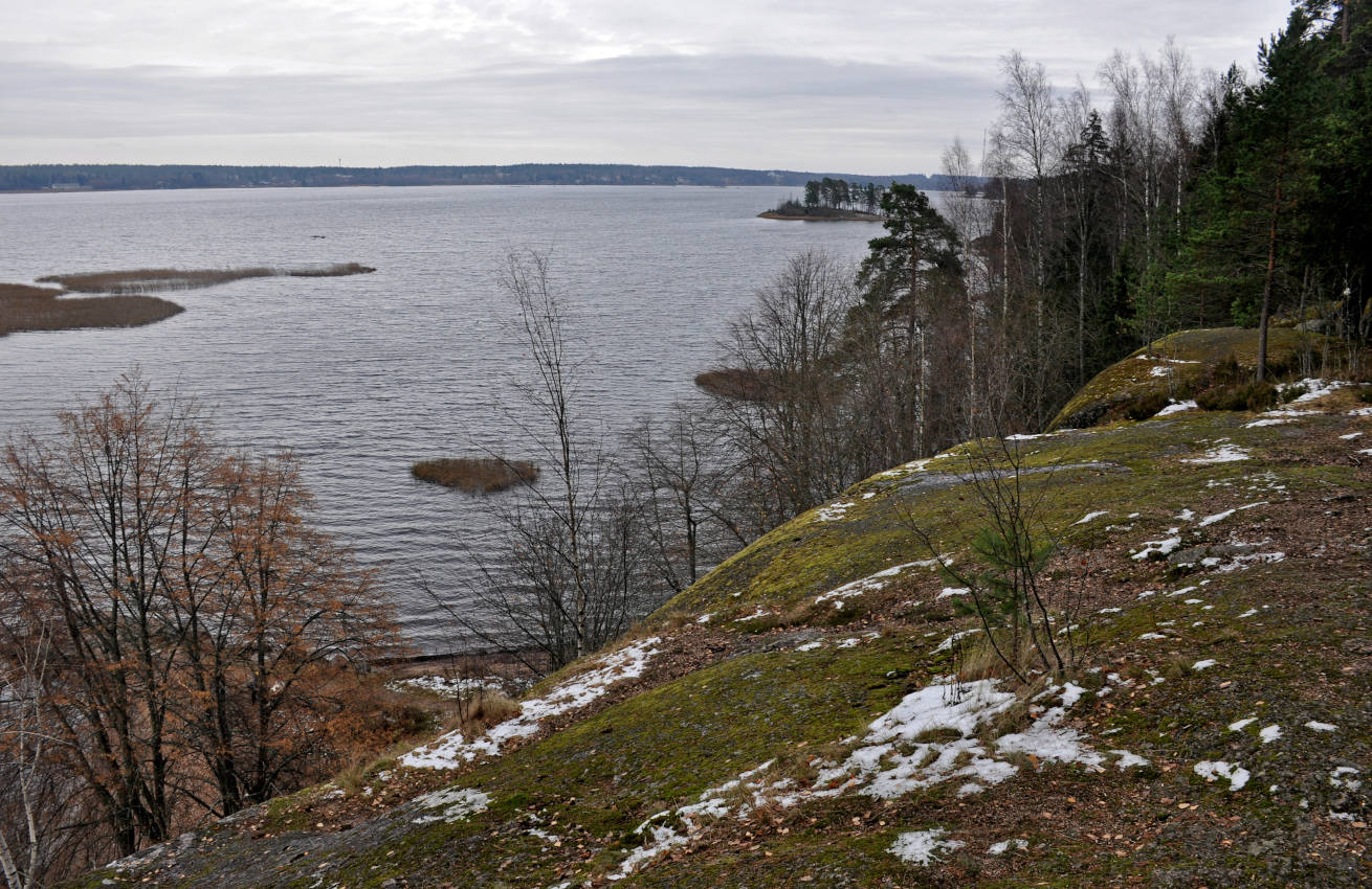 Парк Монрепо, image of landscape/habitat.