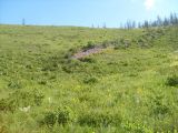 Image of landscape