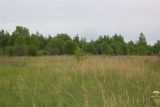 Окрестности деревни Сатино, image of landscape/habitat.