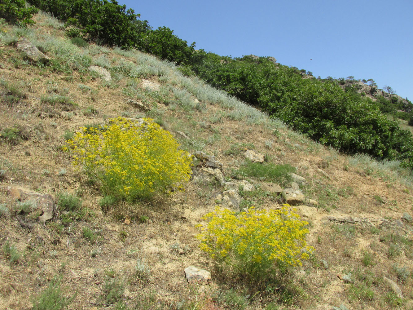 Хребет Нарат-Тюбе, image of landscape/habitat.