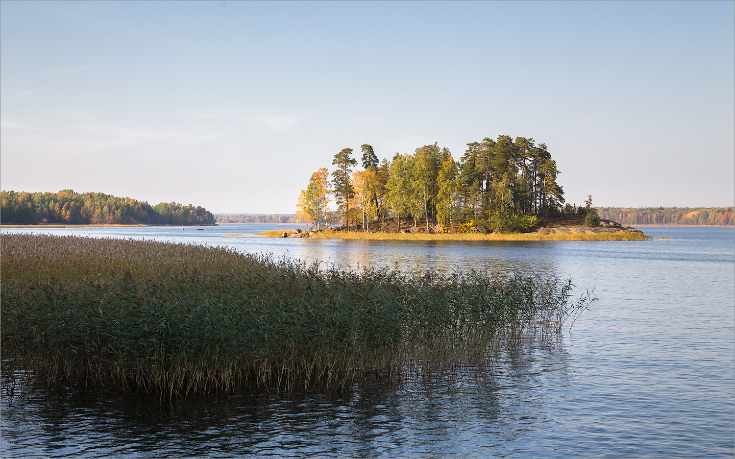 Парк Монрепо, image of landscape/habitat.