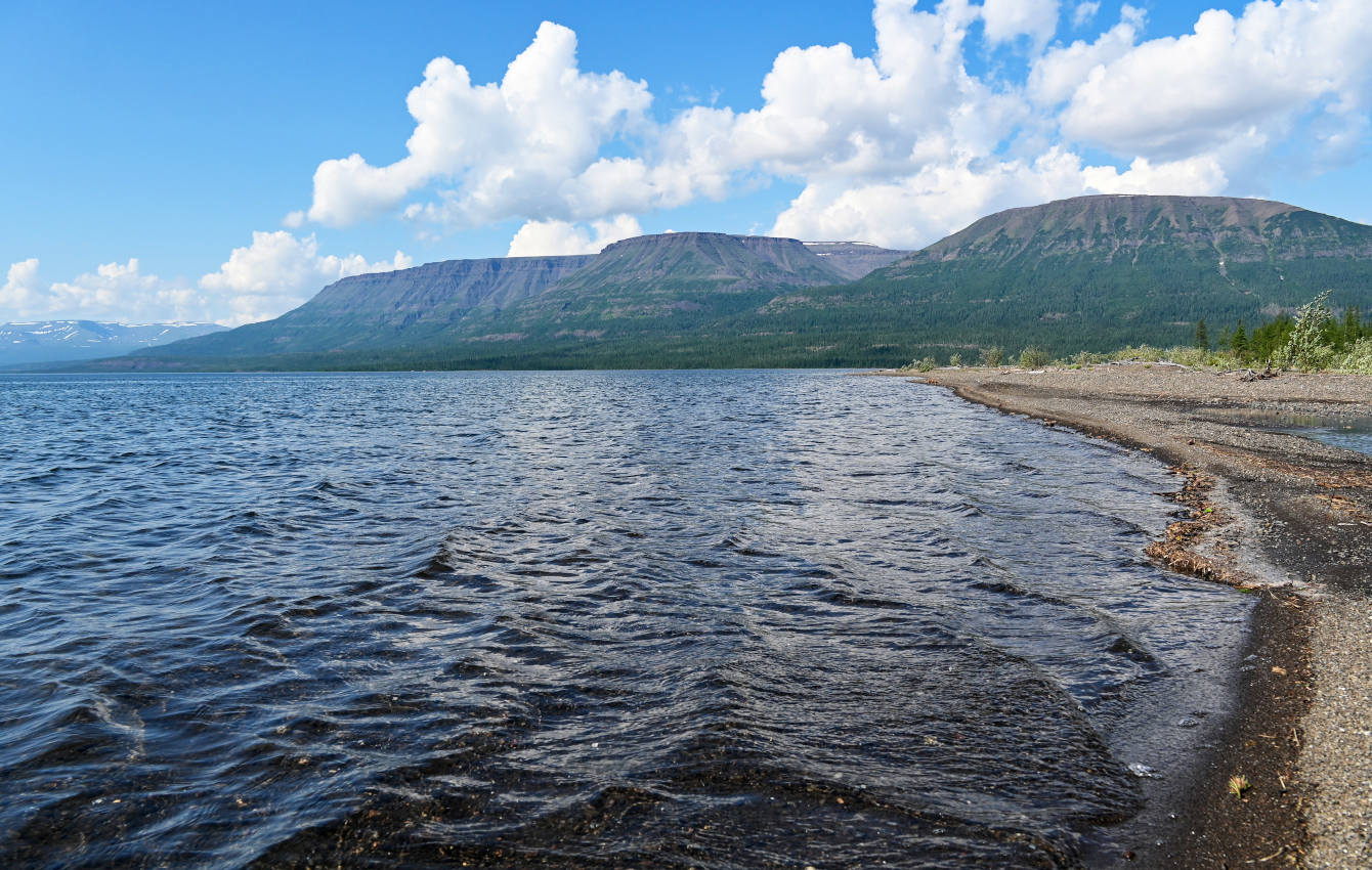 Устье реки Кутарамакан, image of landscape/habitat.