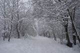 Свято-Михайловский монастырь, image of landscape/habitat.