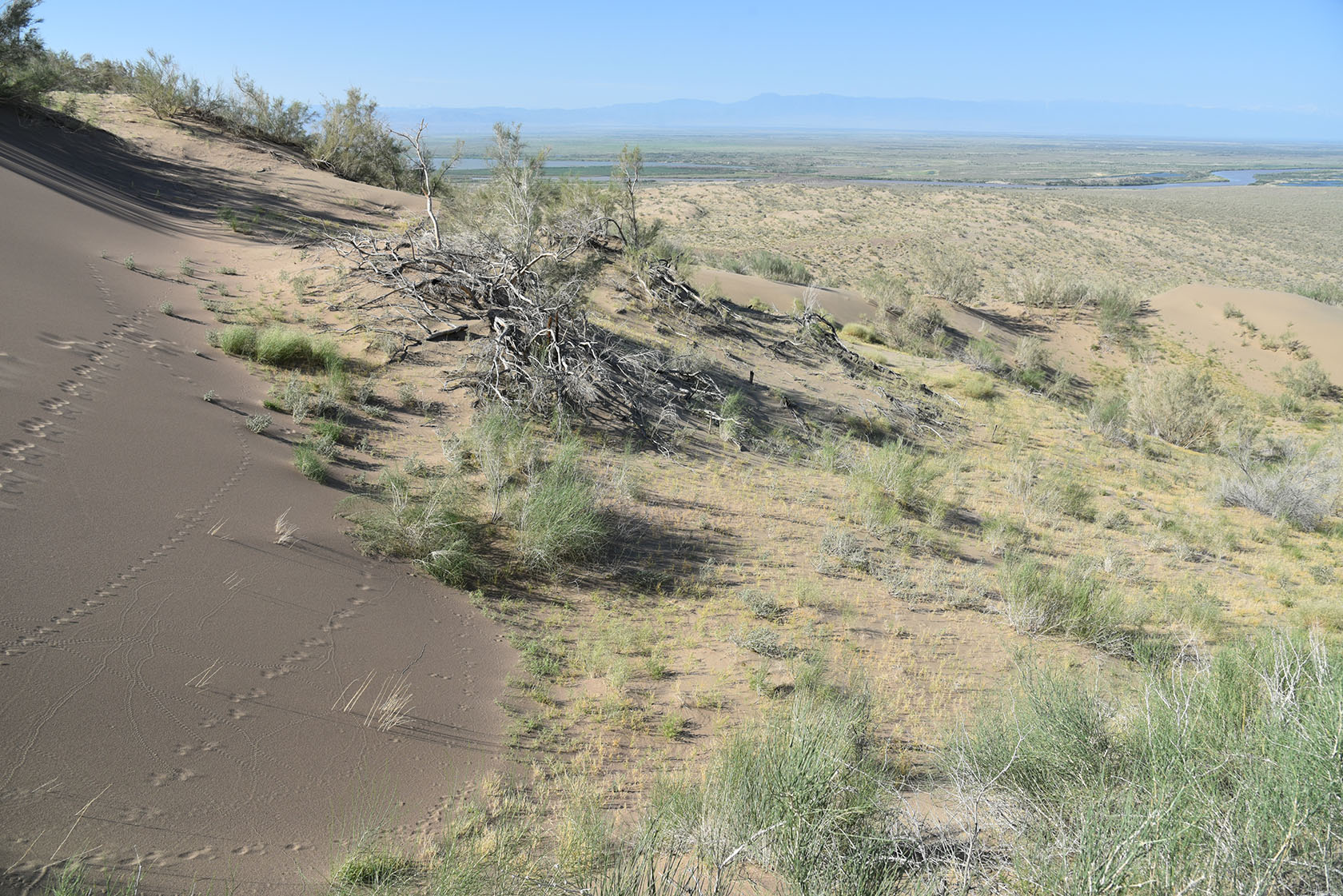 Айгайкум (Поющий бархан), изображение ландшафта.