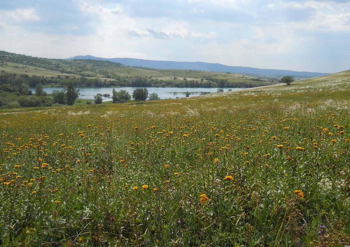 Урочище Аян, image of landscape/habitat.