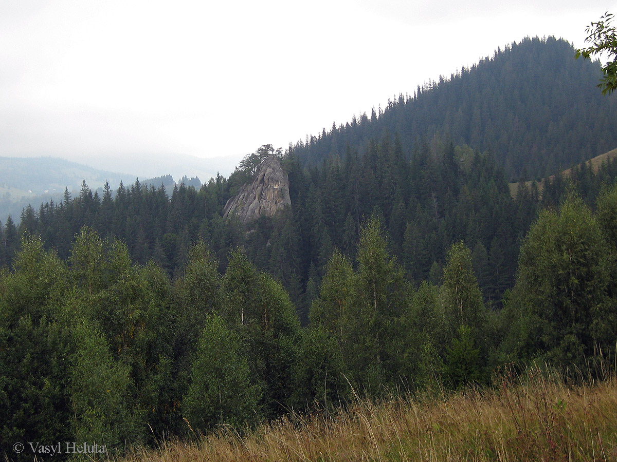 Терношора, image of landscape/habitat.