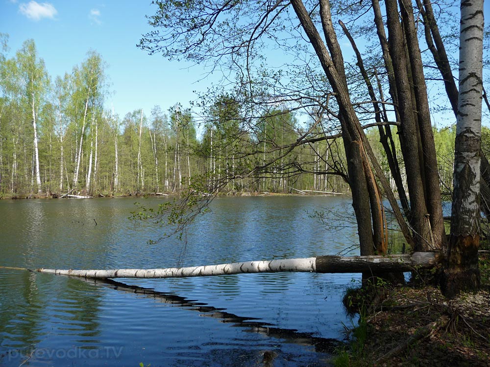 Ларцево, image of landscape/habitat.