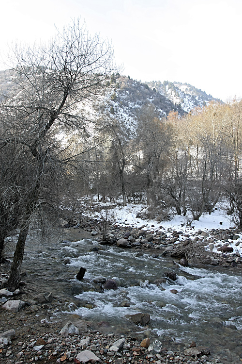 Чаткальский заповедник, image of landscape/habitat.