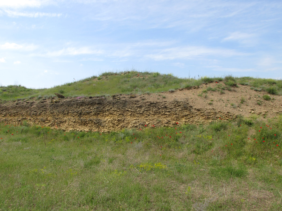 Окрестности Войково, image of landscape/habitat.