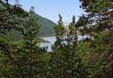 Курорт Боровое (Бурабай), image of landscape/habitat.