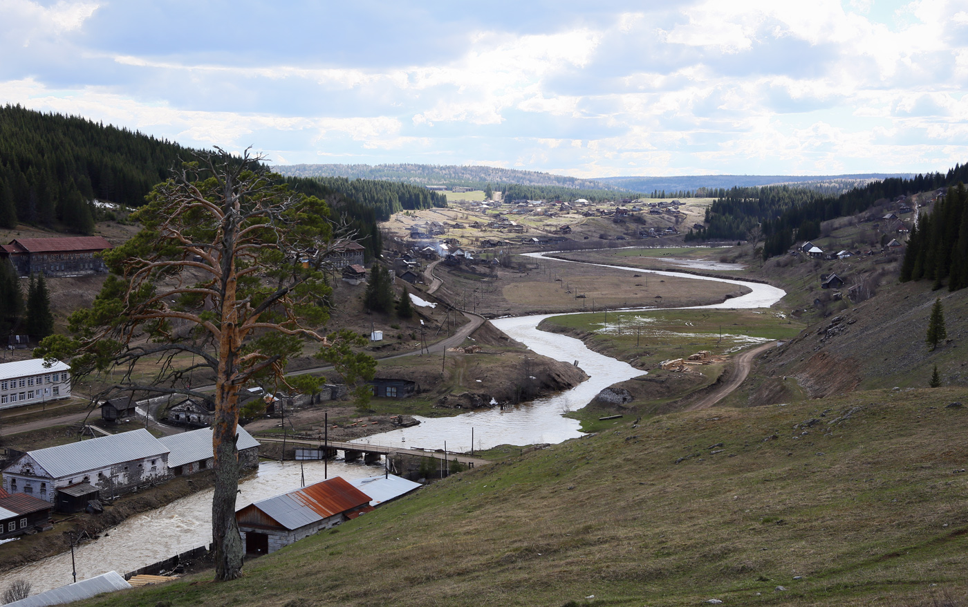 Кын и его окрестности, image of landscape/habitat.