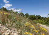 Большой Утриш, гора Солдатская, image of landscape/habitat.