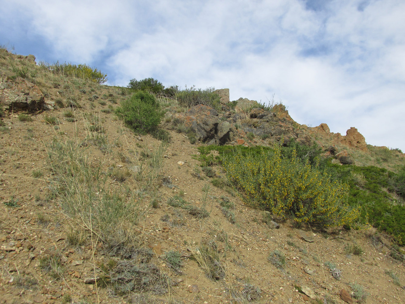 Тыдтуярык (кемпинг и рядом), image of landscape/habitat.