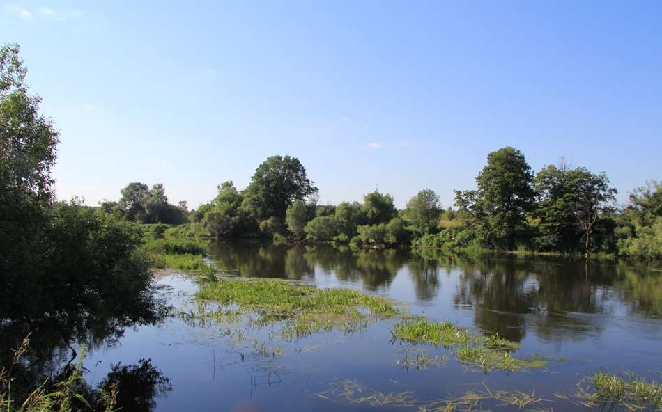 Долина реки Клязьма, image of landscape/habitat.