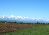 Image of landscape