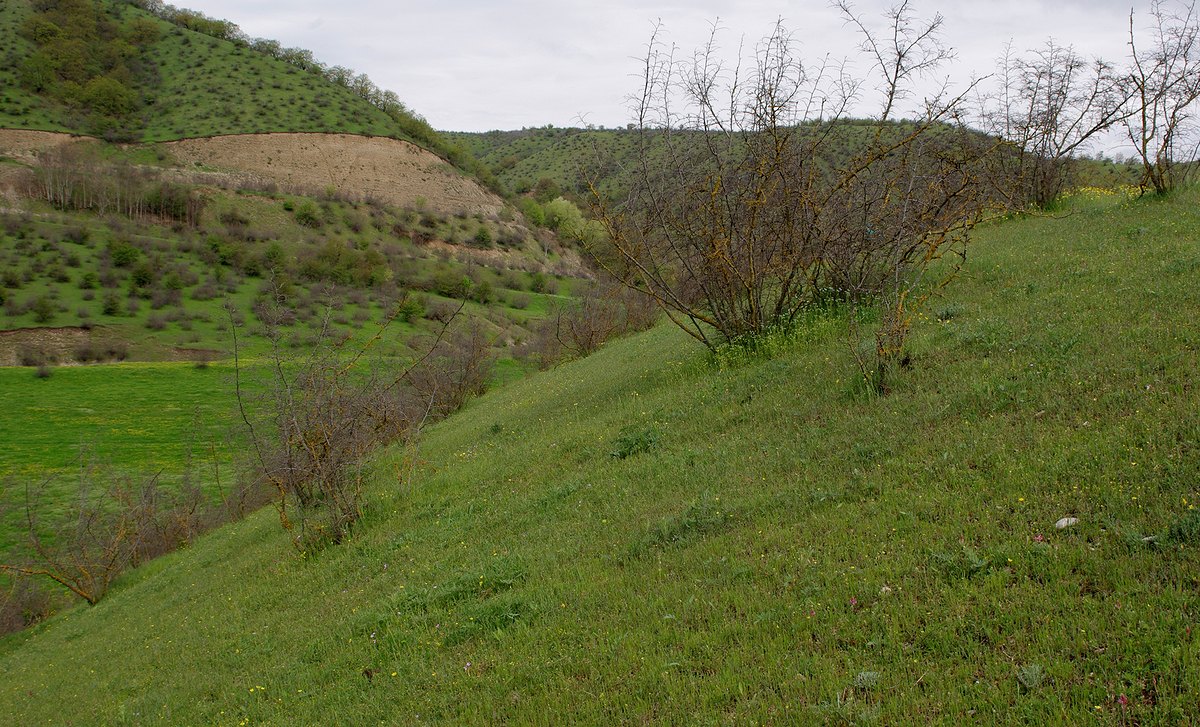 Ивановка, image of landscape/habitat.