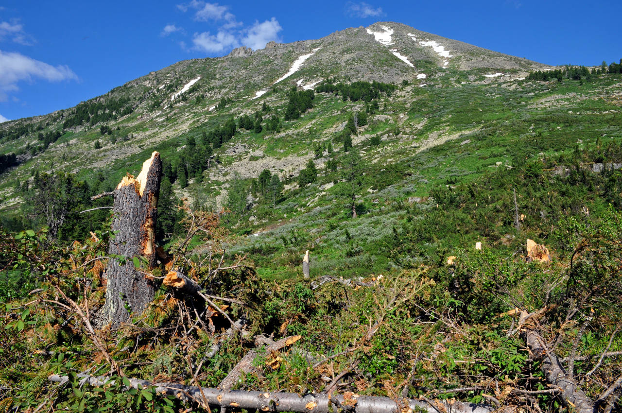 Верхнее Мультинское озеро, image of landscape/habitat.
