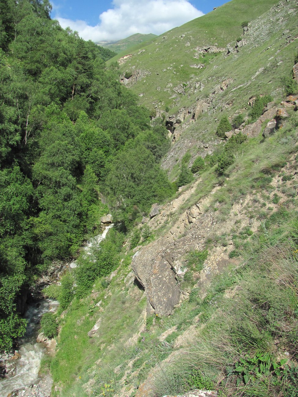 Тырныауз, image of landscape/habitat.